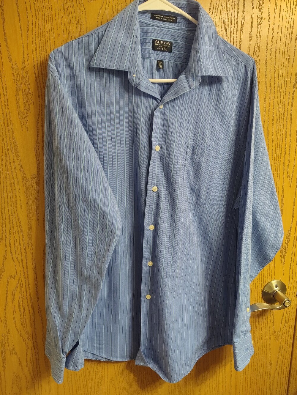 Arrow Men's Blue Striped Dress Shirt